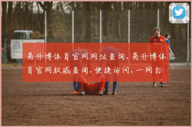 易升博体育官网网址查询,易升博体育官网权威查询,便捷访问,一网打尽