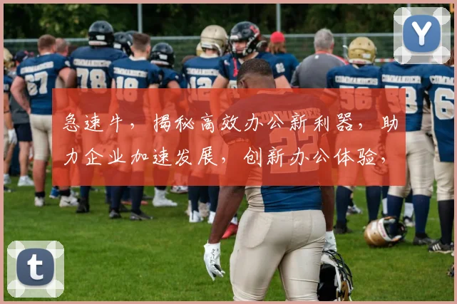 急速牛，揭秘高效办公新利器，助力企业加速发展，创新办公体验，两步实现